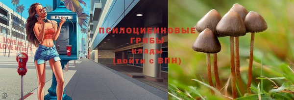 хмурый Новозыбков