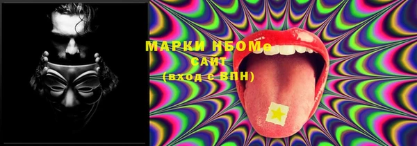 хмурый Новозыбков