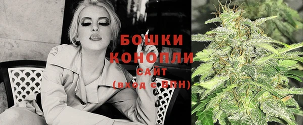 хмурый Новозыбков