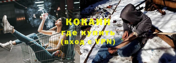 хмурый Новозыбков