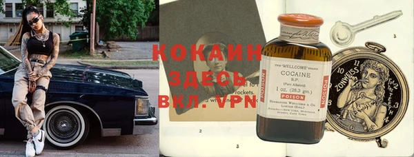 шишки Апатиты