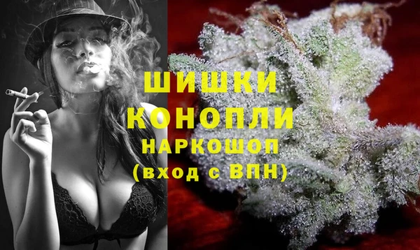 шишки Апатиты