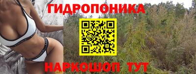 мяу мяу мука Гусиноозёрск