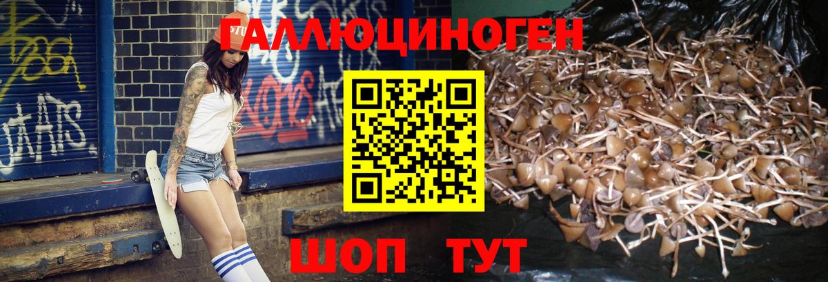 Псилоцибиновые грибы Magic Shrooms  Вход с VPN  Лениногорск 